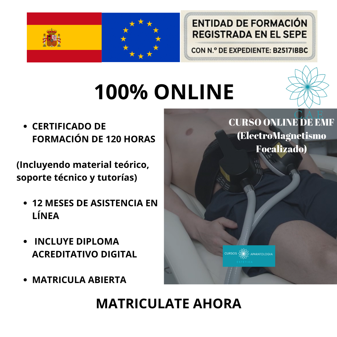 Curso Online de Electromagnetismo Focalizado (EMF)