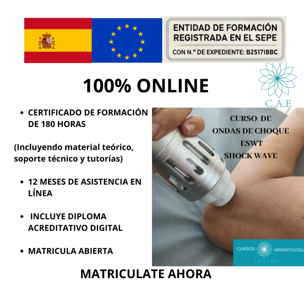 Curso Online de Ondas de Choque
